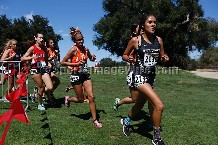 2015SIxcHSD2-183.JPG - 2015 Stanford Cross Country Invitational, September 26, Stanford Golf Course, Stanford, California.